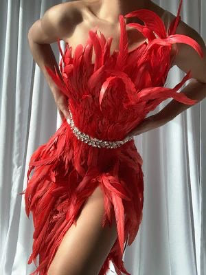 Feather best sale dress red